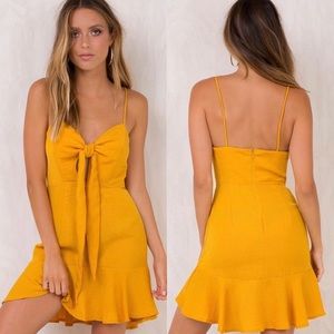 NWT Mustard Yellow Princess Polly Dress